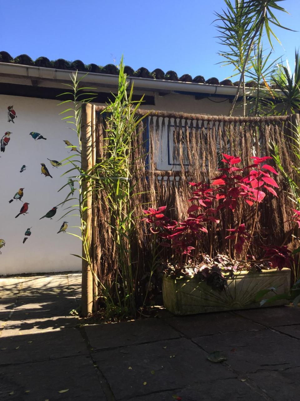 Pousada Jardim Dos Oliveiras Παρατί Εξωτερικό φωτογραφία
