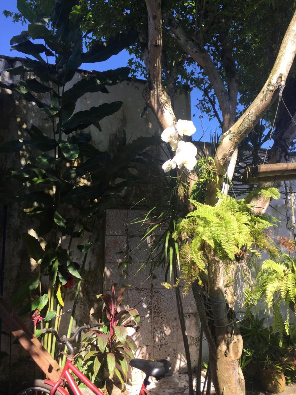 Pousada Jardim Dos Oliveiras Παρατί Εξωτερικό φωτογραφία