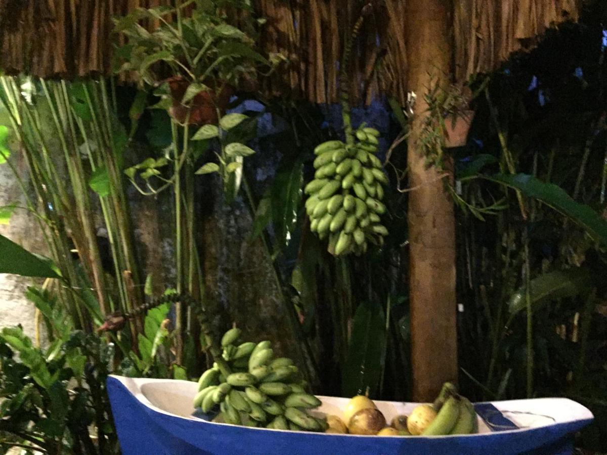 Pousada Jardim Dos Oliveiras Παρατί Εξωτερικό φωτογραφία